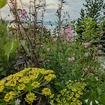 Ferienhaus With Views Of The Oslofjord On Nesodden *