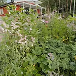 With Views Of The Oslofjord On Nesodden * Fjellstrand