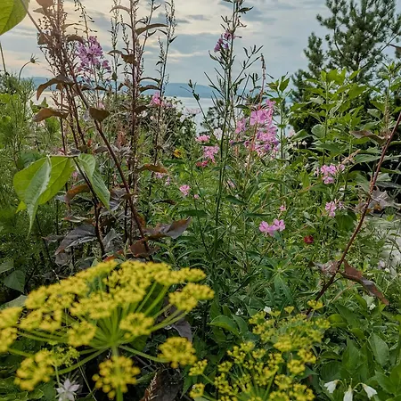 Σπίτι διακοπών With Views Of The Oslofjord On Nesodden *