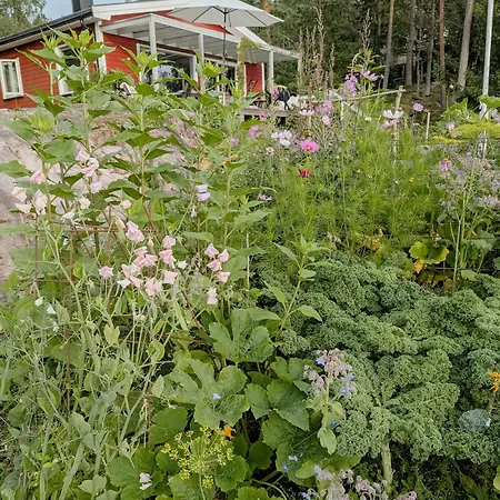 With Views Of The Oslofjord On Nesodden * Fjellstrand